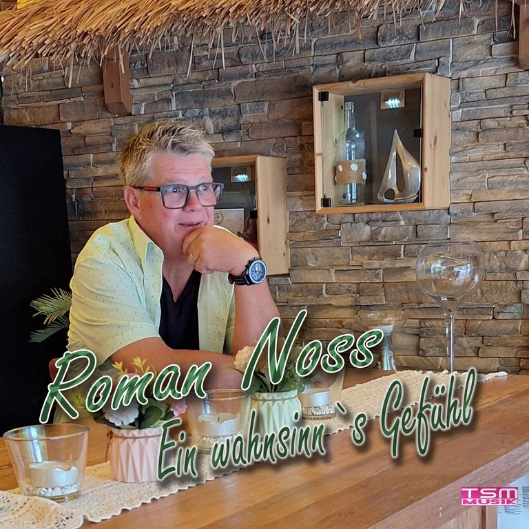 Ein wahnsinn’s Gefühl — Singlecover von Roman Noss